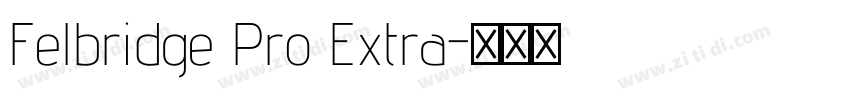 Felbridge Pro Extra字体转换